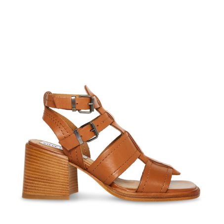 Brown Steve Madden Angelene Leather Women's Heels Sandals | PH 6701HZI